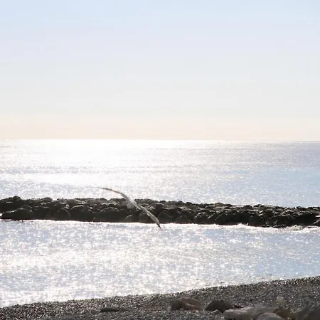 Apartment St Hubert A 50-100m Des Plages En Plein Centre *